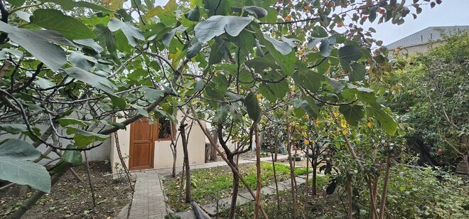 Продаётся 4-комн. дом/дача 110 м², пос. Биладжары, photo 11 from 26