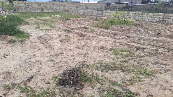 Satılır  torpaq 5 sot, Nardaran q., photo 5 from 9