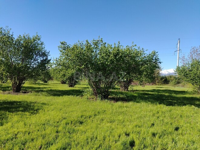 Продаётся  участок 120 сот, photo 1 from 12