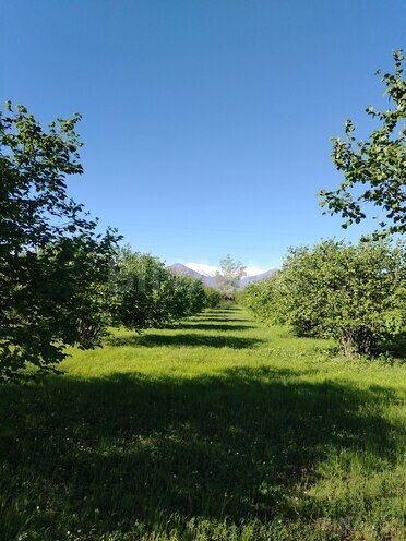 Продаётся  участок 120 сот, photo 9 from 12
