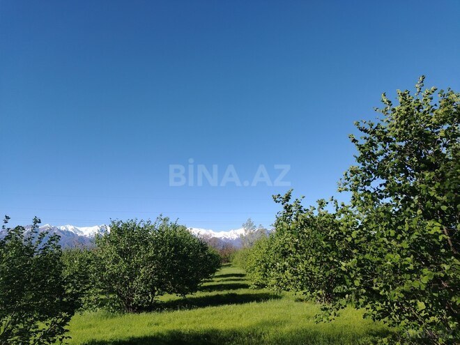 Продаётся  участок 120 сот, photo 10 from 12
