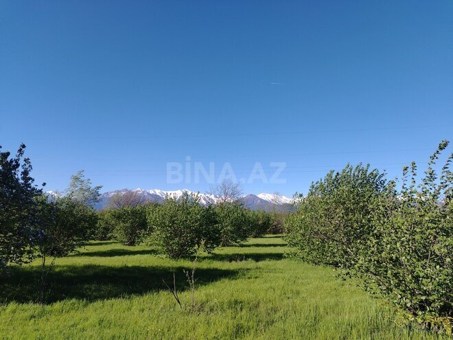 Продаётся  участок 120 сот, photo 6 from 12