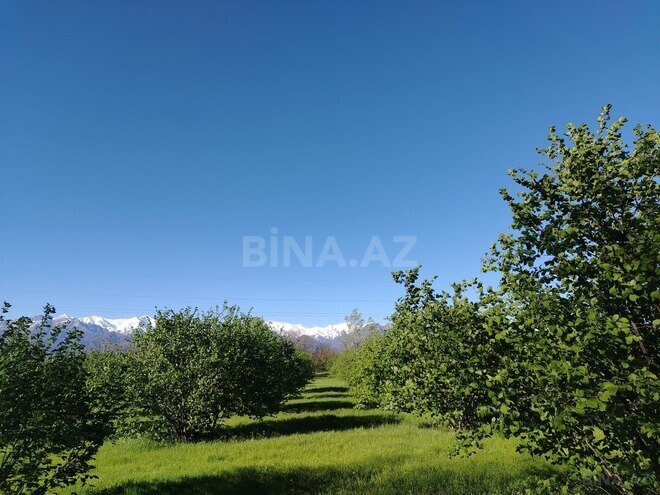 Продаётся  участок 120 сот, photo 11 from 12