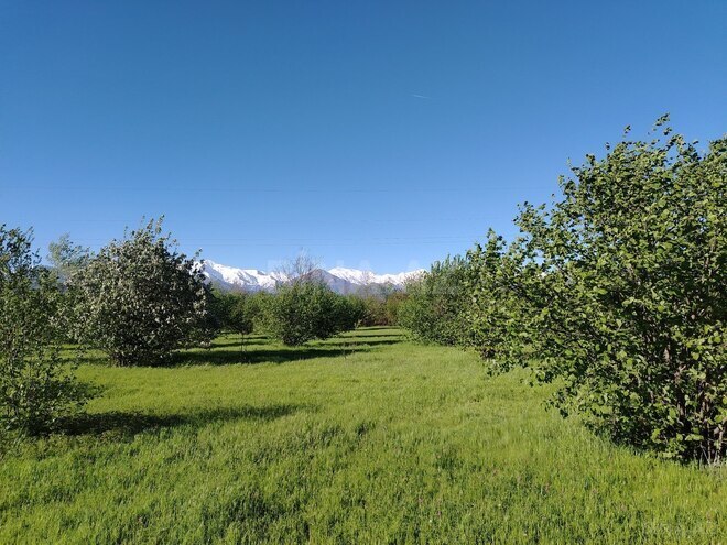 Продаётся  участок 120 сот, photo 7 from 12