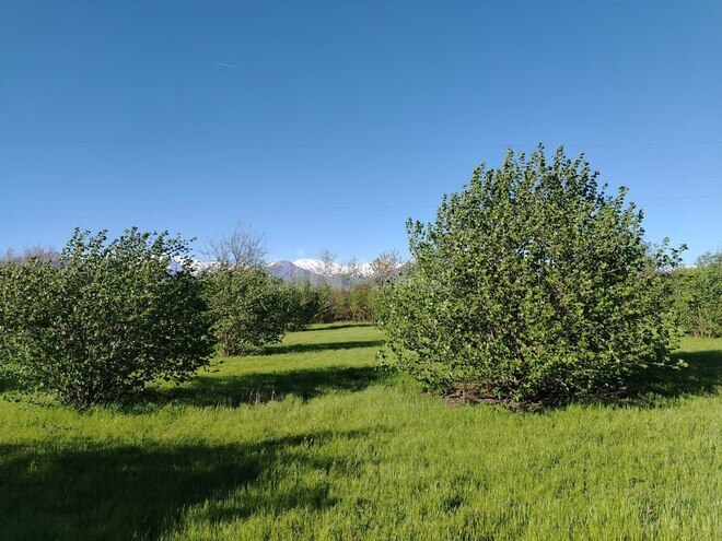 Продаётся  участок 120 сот, photo 3 from 12