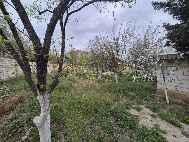 Продаётся  участок 5 сот, пос. Сулутепе, photo 7 from 9