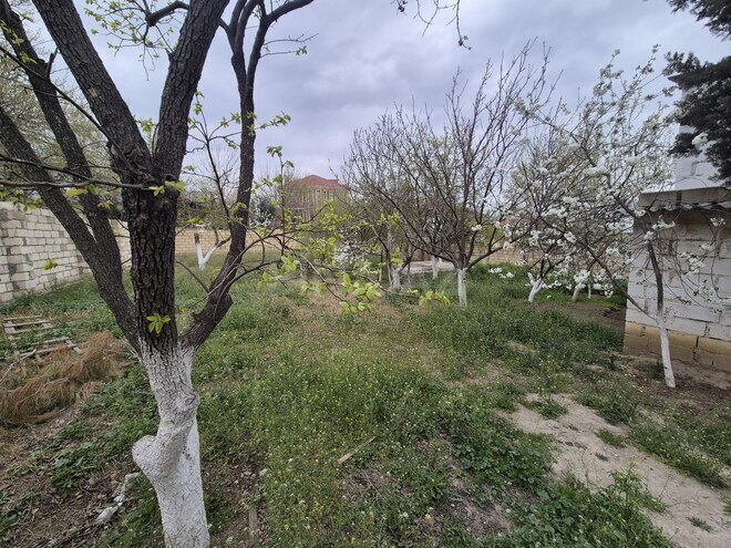 Продаётся  участок 5 сот, пос. Сулутепе, photo 4 from 9