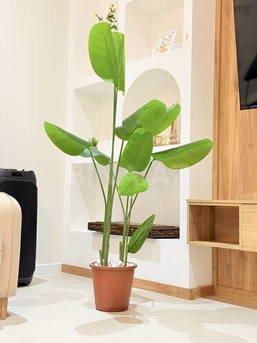 Сдаётся 4-комн. дом/дача 350 м², пос. Тюркан, photo 7 from 32