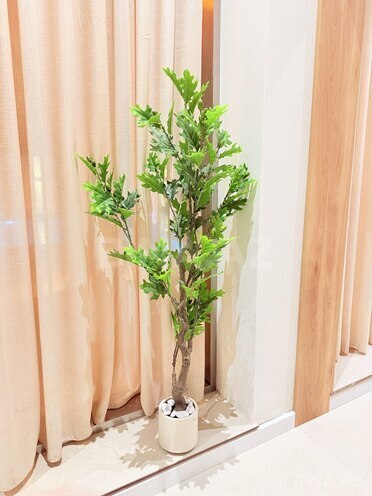 Сдаётся 4-комн. дом/дача 350 м², пос. Тюркан, photo 16 from 32