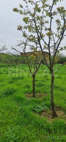 Продаётся  участок 12 сот, photo 12 from 18