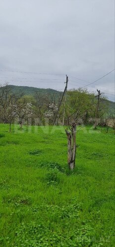 Продаётся  участок 12 сот, photo 10 from 18