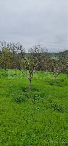 Продаётся  участок 12 сот, photo 15 from 18