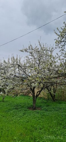 Продаётся  участок 12 сот, photo 11 from 18