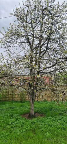 Продаётся  участок 12 сот, photo 8 from 18