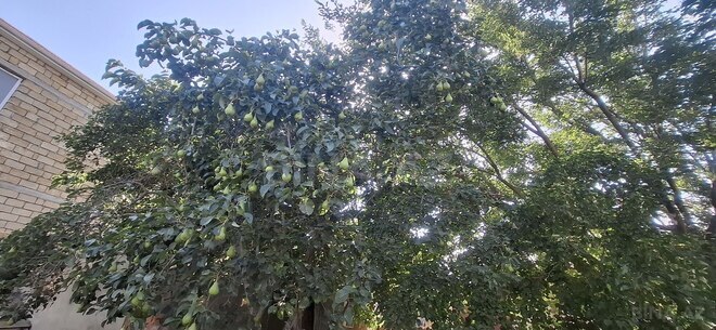 Продаётся  участок 10 сот, пос. Мехтиабад, photo 4 from 6