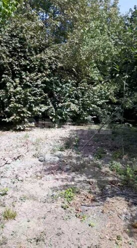 Продаётся  участок 75 сот, photo 6 from 11