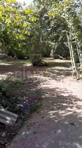 Продаётся  участок 75 сот, photo 8 from 11