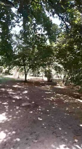 Продаётся  участок 75 сот, photo 3 from 11
