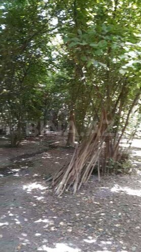 Продаётся  участок 75 сот, photo 5 from 11