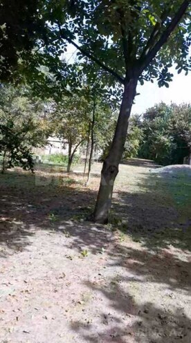 Продаётся  участок 75 сот, photo 10 from 11