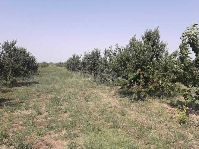 Продаётся  объект 20 000 м², photo 19 from 21