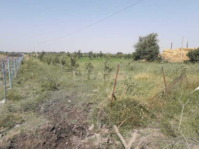 Продаётся  объект 20 000 м², photo 20 from 21