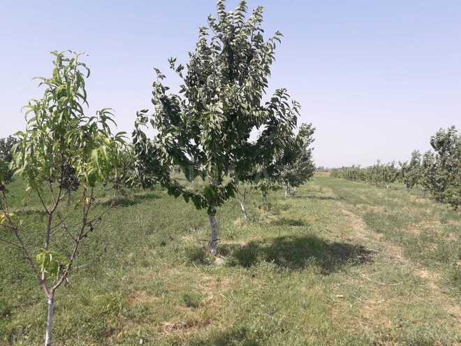 Продаётся  объект 20 000 м², photo 13 from 21