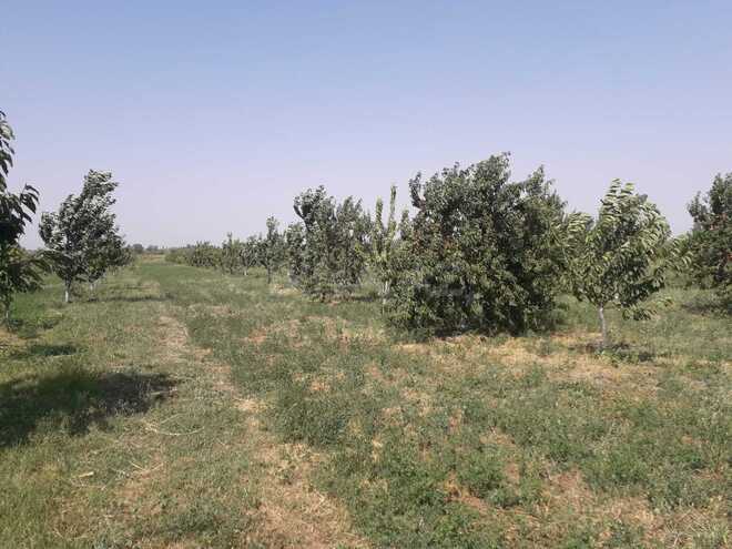 Продаётся  объект 20 000 м², photo 11 from 21