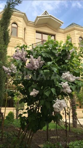 Продаётся 5-комн. дом/дача 800 м², пос. Бадамдар, photo 3 from 31