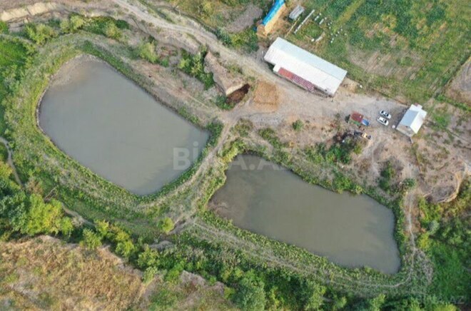 Продаётся  объект 20 000 м², photo 5 from 21