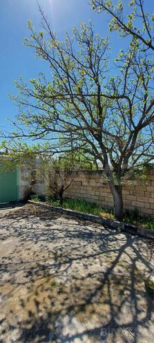 Satılır 4 otaqlı həyət evi/bağ evi 100 m², Abşeron r., photo 1 from 29