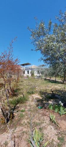 Satılır 4 otaqlı həyət evi/bağ evi 100 m², Abşeron r., photo 4 from 29