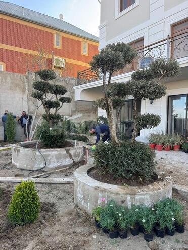 İcarəyə verilir 5 otaqlı həyət evi/bağ evi 330 m², Badamdar q., photo 5 from 27