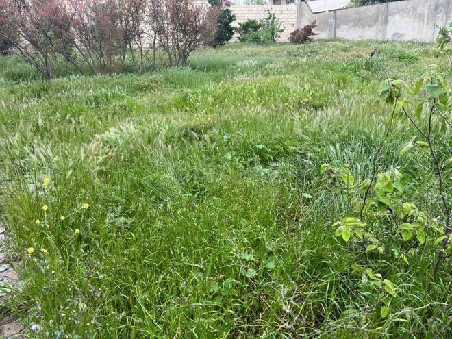 Продаётся  участок 9 сот, пос. Горадил, photo 5 from 9