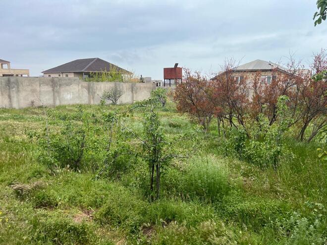 Продаётся  участок 9 сот, пос. Горадил, photo 1 from 9