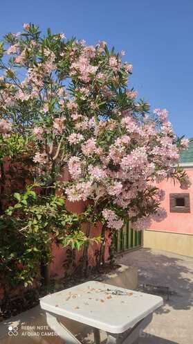 Продаётся 4-комн. дом/дача 120 м², пос. Атъялы, photo 13 from 14