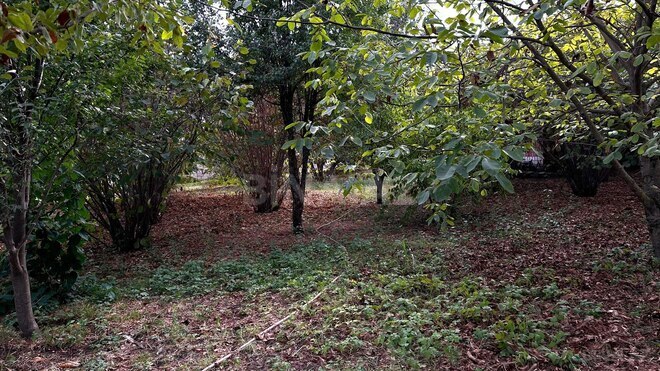 Продаётся  участок 15 сот, photo 8 from 13