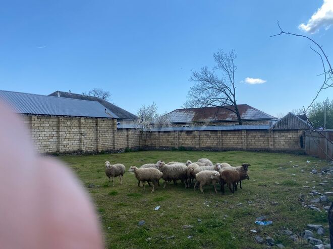 Продаётся  участок 5.6 сот, photo 7 from 18
