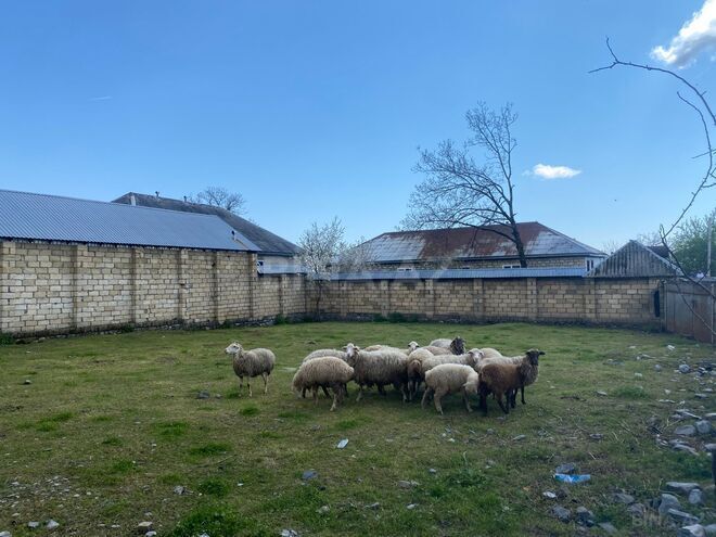 Продаётся  участок 5.6 сот, photo 14 from 18