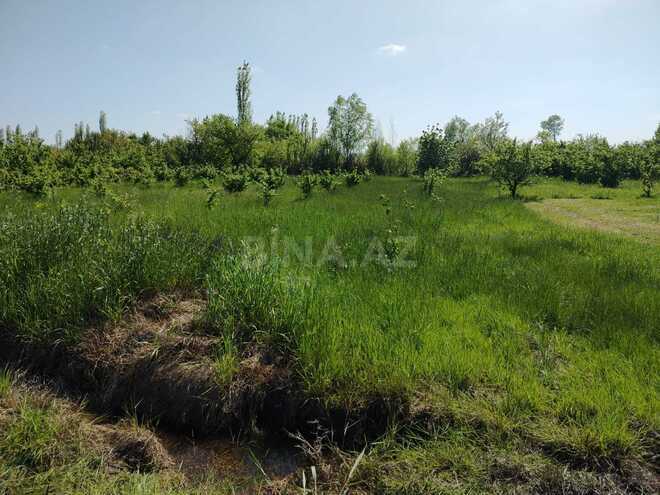 Продаётся  участок 10 сот, Хачмазский р., photo 5 from 7