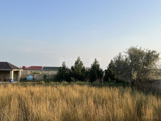 Продаётся  участок 8 сот, пос. Нардаран, photo 7 from 10