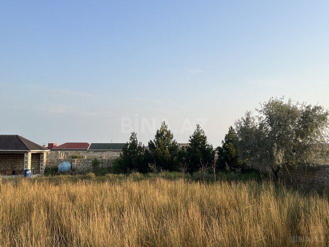 Продаётся  участок 8 сот, пос. Нардаран, photo 6 from 10
