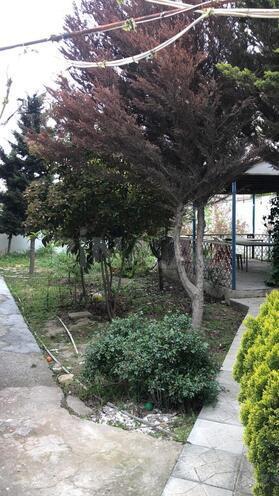 Продаётся  участок 2 сот, Сабаильский р., photo 3 from 5