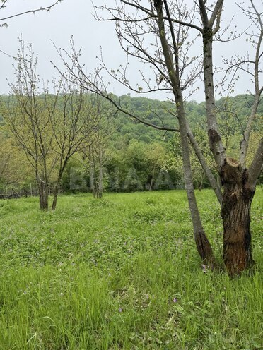 Продаётся  участок 4 сот, photo 3 from 19