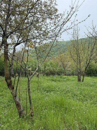 Продаётся  участок 4 сот, photo 1 from 19