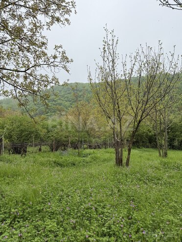 Продаётся  участок 4 сот, photo 7 from 19