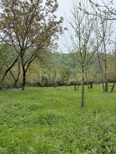 Продаётся  участок 4 сот, photo 14 from 19