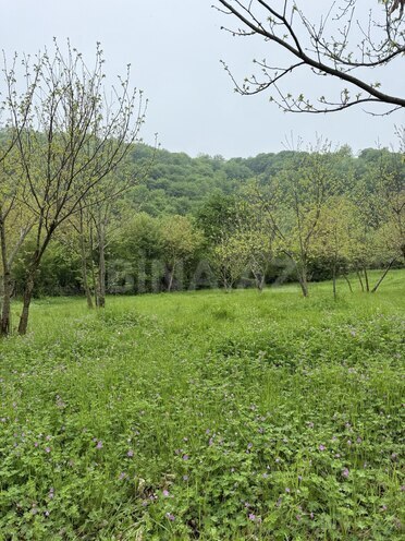 Продаётся  участок 4 сот, photo 6 from 19