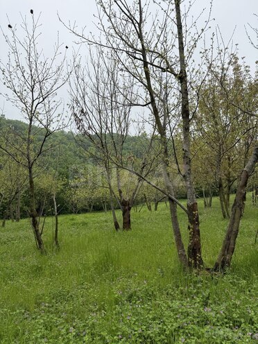 Продаётся  участок 4 сот, photo 15 from 19