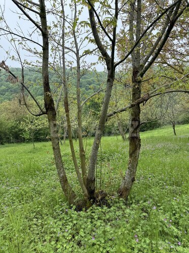 Продаётся  участок 4 сот, photo 11 from 19